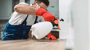 Real Estate Pest Inspections in Granger, TX